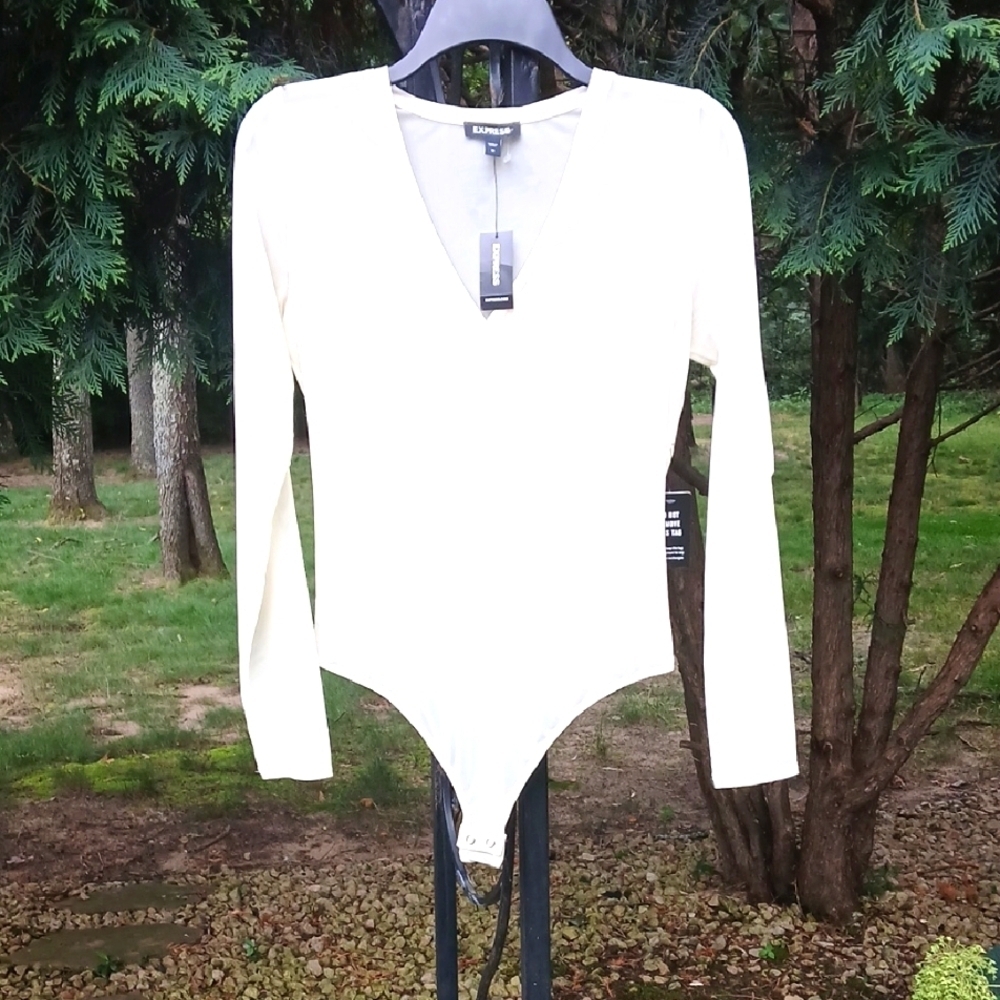 Express Sheer V-Neck Bodysuit Sz M NWT